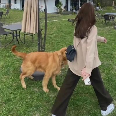 水之患